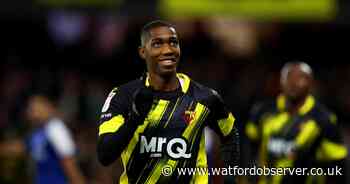 Cleverley expects Asprilla to leave and Hoedt to stay