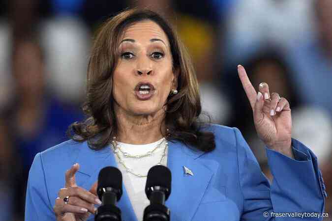 Democrats look to build on Kamala Harris’s momentum at national convention