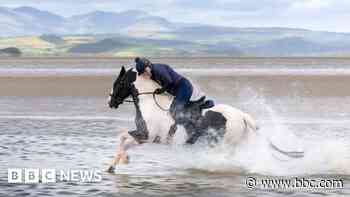 Dozens of horse riders join charity beach ride