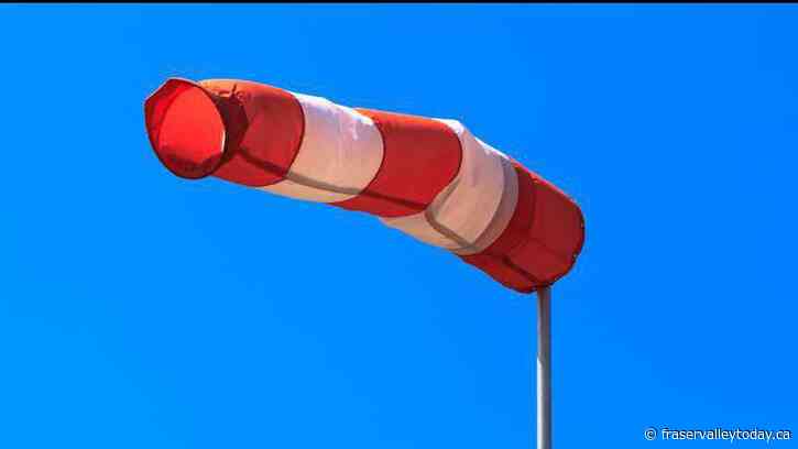 Windstorm results in series of power outages across Fraser Valley and Lower Mainland