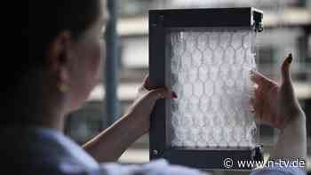 Hydroskin nutzt Regenwasser: Revolutionäres Fassadenmaterial kann Städte kühlen