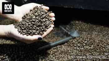 Australia is getting ready to make a larger play in the multi-billion dollar coffee industry