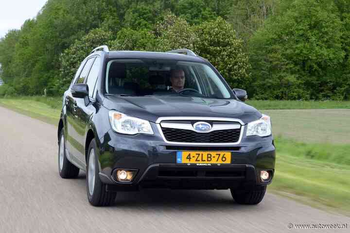 Praktijkervaring Subaru Forester (2013-2019): op avontuur met de boswachter