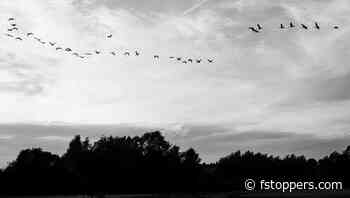 A Month in Monochrome: Exploring the Leica M10 Monochrom