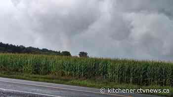 Trees down, damage reported after tornado in Ayr, Ont.