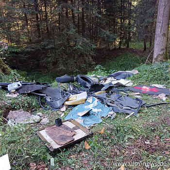 Viel Müll wild im Wald entsorgt