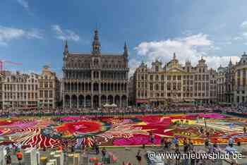 Minstens 20.500 mensen bewonderden Bloementapijt op Grote Markt