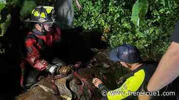 Wash. firefighters use rope system to rescue horse stuck in mud