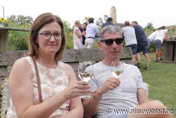 Sprankelend Hageland van start op Houwaartse berg, maar teler vreest fors minder opbrengst door slecht weer