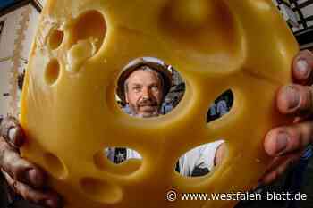 Käsemarkt in Nieheim: Neun Tipps für Ihren Besuch