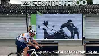 Durch Replik ersetzt: Londoner Zoo baut Banksys Kunstwerk ab