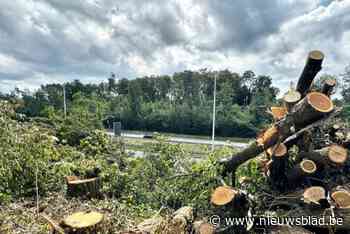 Aanleg geluidsmuur van twee kilometer aan noordkant van E314 in Genk van start