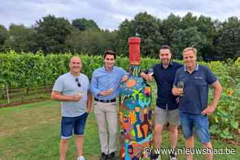 Sprankelend Hageland van start op Houwaartse berg, maar teler vreest voor fors minder opbrengst door slecht weer