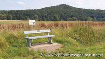 Höhlen, Ruinen und verlorene Eisenbahnstrecken: Dieser Ort am Harz lädt zur Erkundung ein