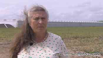 Legale wietkwekerij zorgt voor veel stank: 'Krijg er hoofdpijn van'