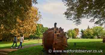 Help decide the future of your favourite Watford park with new survey