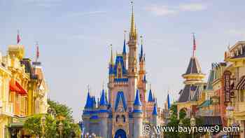 Global theme park attendance shows large numbers for 2023