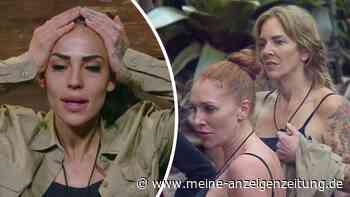 Selbstüberschätzung bei Elena Miras? Dschungelcamp-Stars nach nur wenigen Minuten genervt