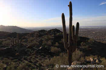 Phoenix sees some cooling rain but Southwest still suffering from heat