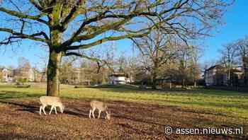 Mooi zomerweer komende week
