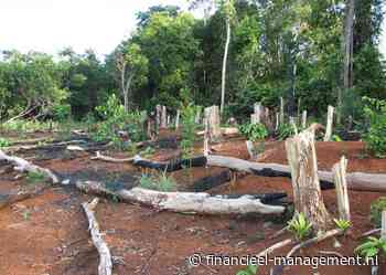 Gaat finance tijdig voldoen aan EU deforestation regulation?