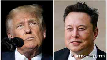 DeSantis strategist works with Musk to help organize voters for Trump