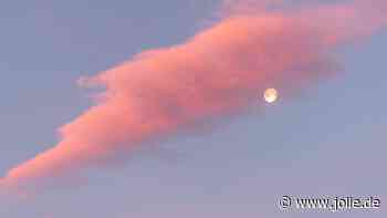 Wochenhoroskop: Das erwartet dein Sternzeichen vom 19. bis 25. August