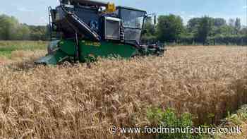 Gene-edited crops a ‘step closer’ in the UK