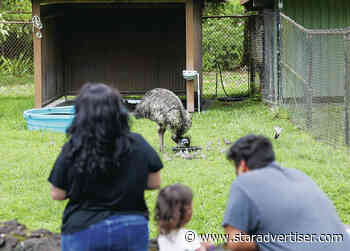Hilo zoo urges visitors to not throw food, objects into animal enclosures