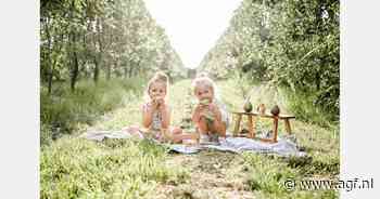 "QTee kan voor een ommezwaai op de markt zorgen"