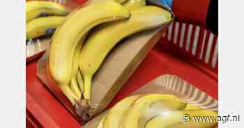 Piepschuimen schaaltjes voor bananen vervangen door een kartonnen variant bij Huuskes