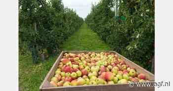 Kleinere Franse appeloogst verwacht