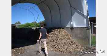 Inagro experimenteert met vergisten van witlofresten