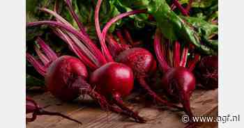 "Onze kleindochter zegt bieten, wij zeggen kroten"