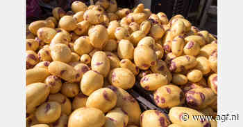 Aardappel voedseloplossing voor Filipijnen