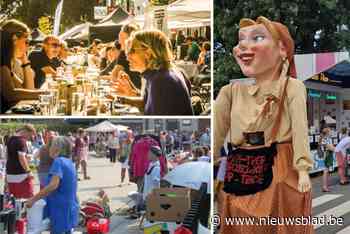 Hove staat voor de 49ste editie van zijn zomerfeest: “Begonnen als braderij om de middenstand te steunen na wegenwerken”