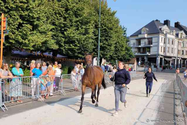 Spectaculaire dierenprijskampen lokken veel toeschouwers