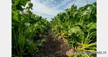 Derde Inspiratieboerderij Groeikracht Cosun geopend in Lelystad