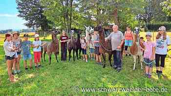 Ferienspaß in Hochdorf: Der  Lama-Führerschein ist  der Renner