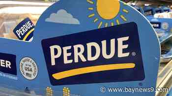 Perdue recalls 167,000 pounds of chicken nuggets after consumers find metal wire in some packages