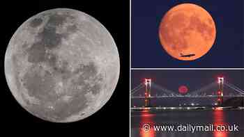 'Exceedingly rare' BLUE supermoon will light the skies tonight - here's the best time to see the stunning lunar display