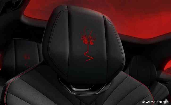 Je raadt nooit waar deze hoofdsteun van is