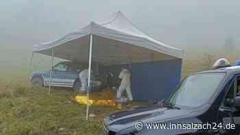 Tatwaffe Motorsäge? Mann (24) liegt mit schweren Schnittverletzungen tot auf Wanderweg