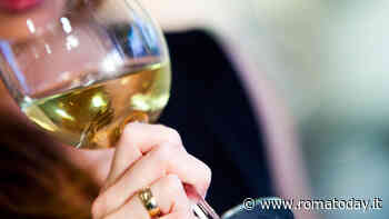 Vini Dop e Igp, la Regione approva il progetto per la ridefinizione e semplificazione delle denominazioni nelle filiera laziale