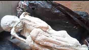 Two new 5ft-tall 'alien mummies' are discovered in Peru - as mystery about their origins deepens