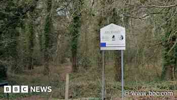 Police drop murder probe into body found in woods