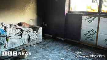 Woman's horror after flat blaze kills pet cat
