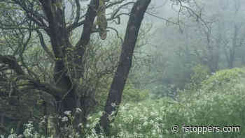 Why Unpopular Choices Can Lead to Unique Photography