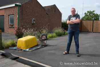 Dood schaap ligt al week op oprit van Davy: “Iedere dag moet ik het bleekwater uithalen tegen de duizenden maden”