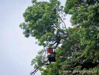 Parachutist vast in boom